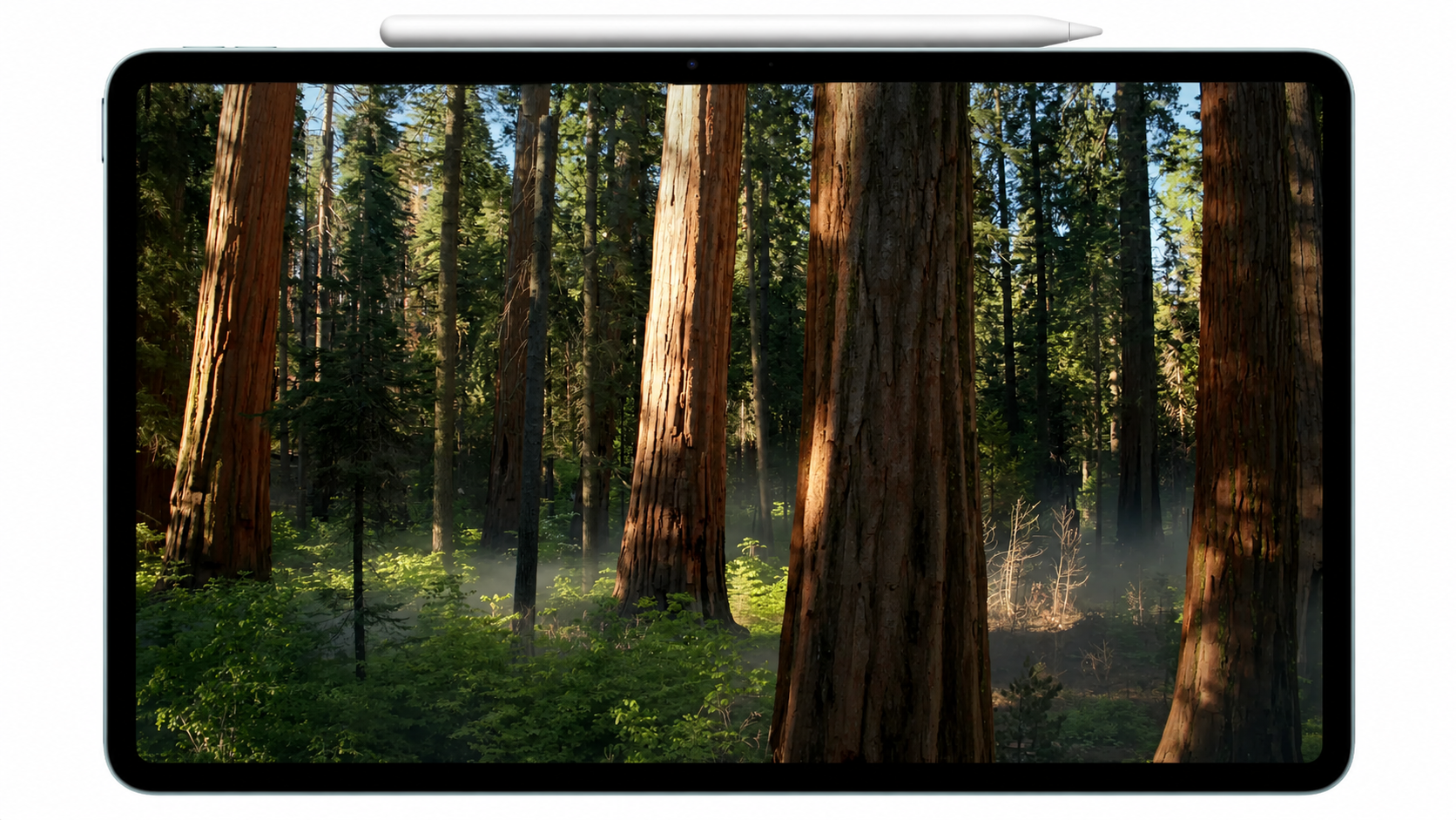 Ecossistema de canais — iPad com floresta